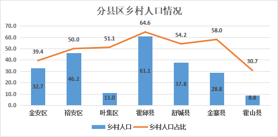 从我市乡村人口发展变化看乡村振兴面临的挑战