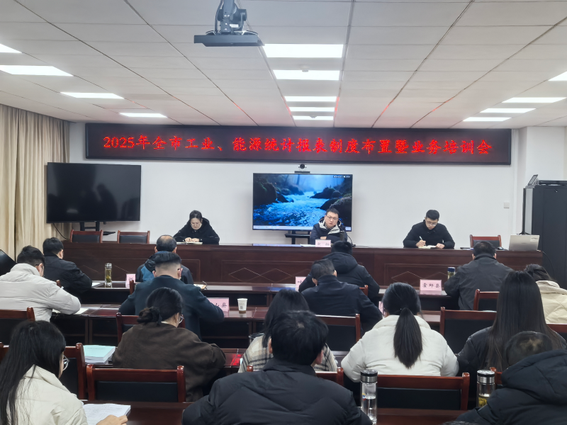 六安市统计局召开2025全市工业、能源统计报表制度布置暨业务培训会